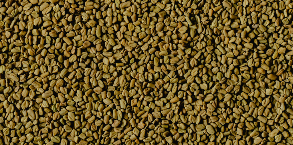 Breathe Easy Part 1: Fenugreek Seed