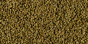 Breathe Easy Part 1: Fenugreek Seed