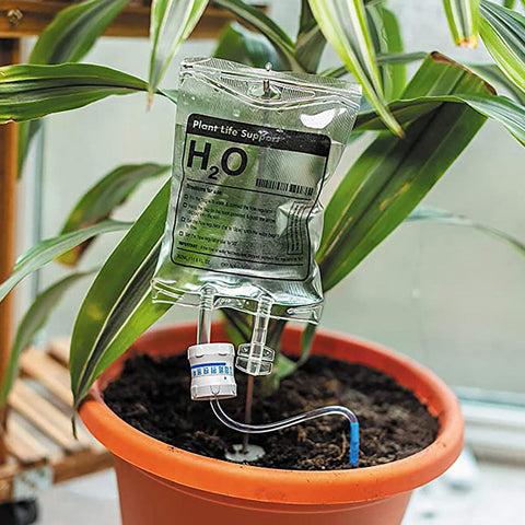 Plant Life Support IV Drip